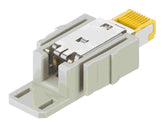 Harting Han-mod IDC termination, male, 8-contact, RJ45, 10G Harting